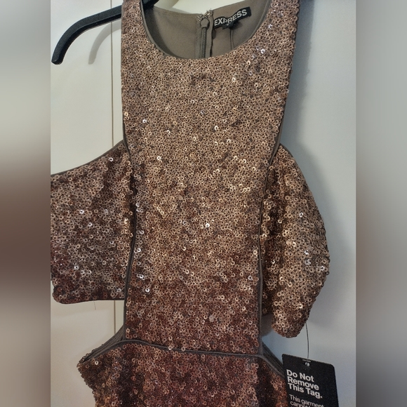 Express Shimmery Sequin Dress NWT - Picture 4 of 10